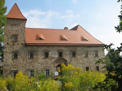 Dwór-26.08.07 018a