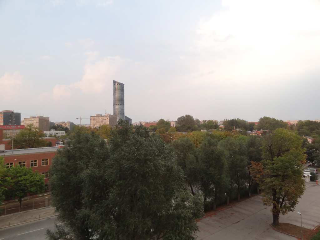 DSC01352