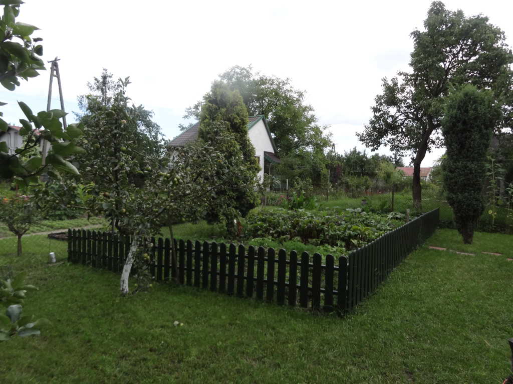 DSC05140