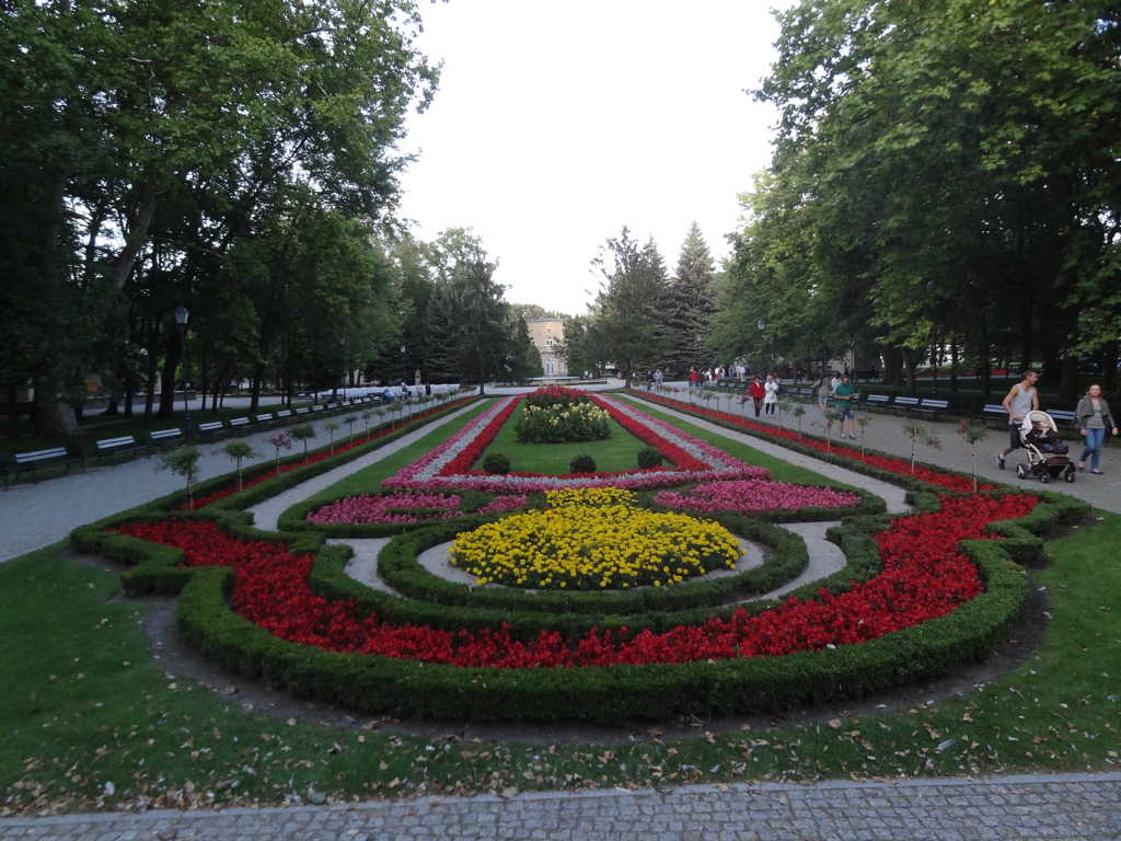 DSC05831