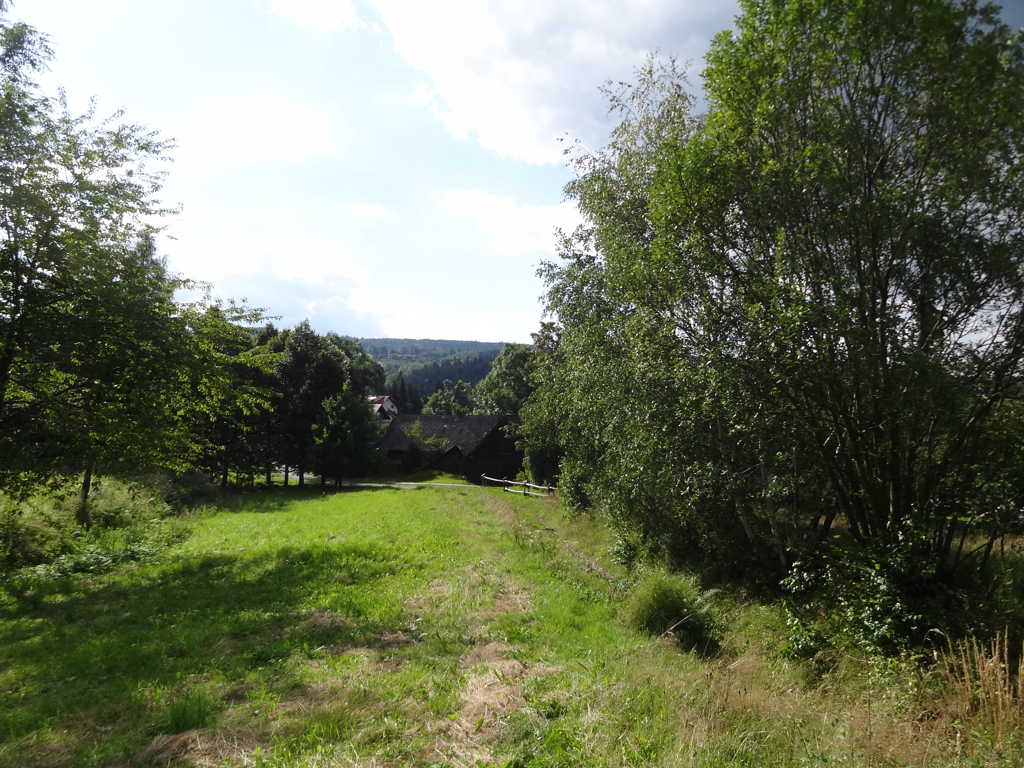 DSC06446
