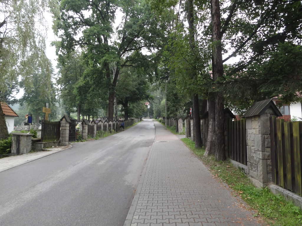 DSC06610
